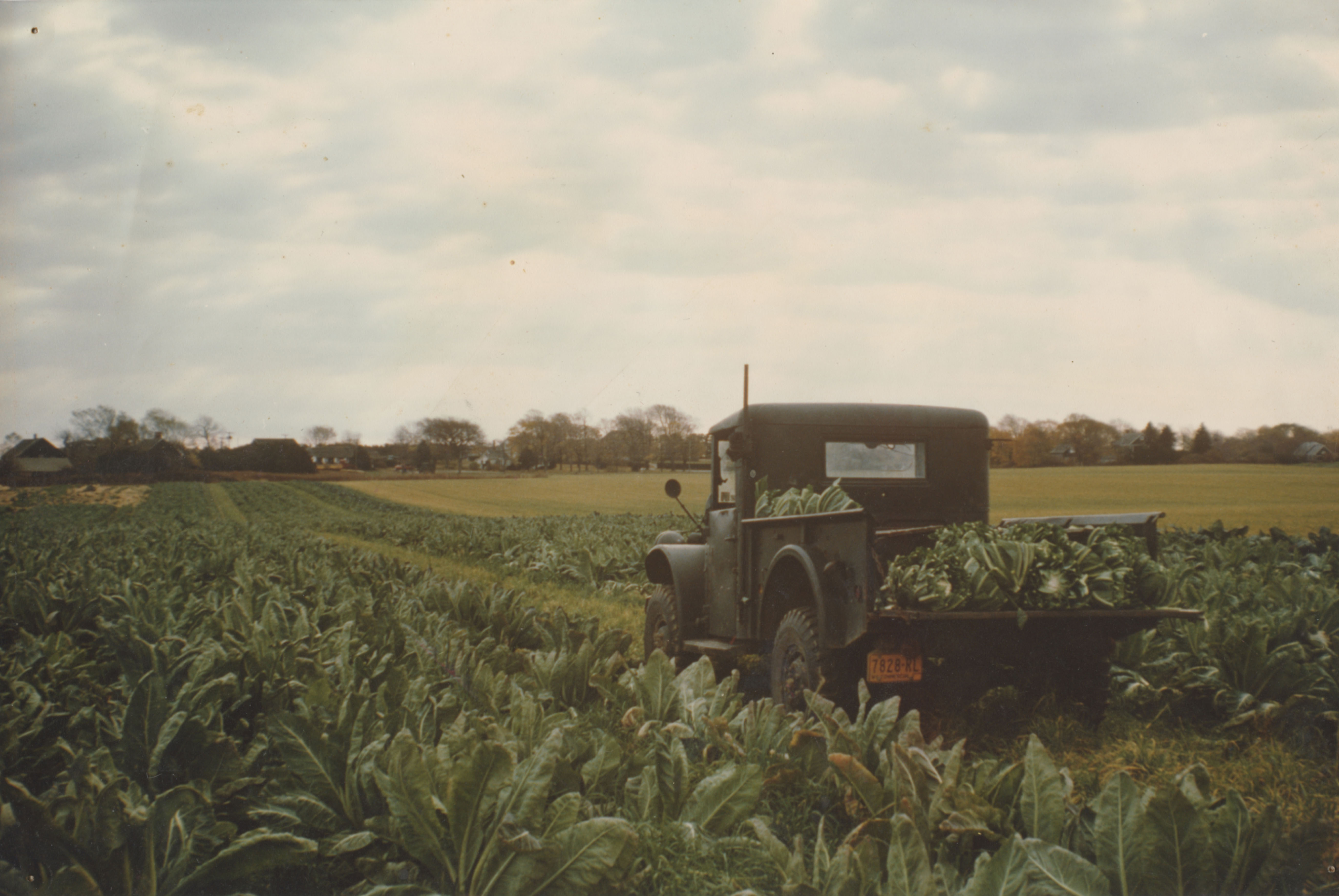 Hamptons Distillery, Event Venue + Tasting Room Sagaponack Private