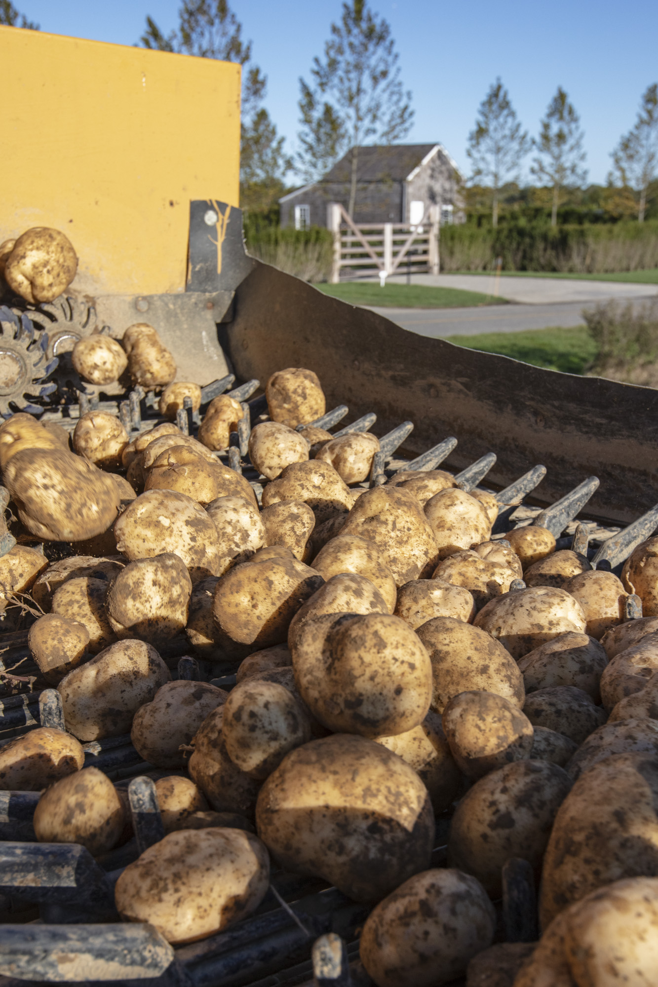 Hamptons Distillery, Event Venue + Tasting Room Sagaponack Private